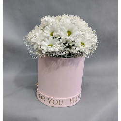 Хризантема "Маргаритка" в кутия